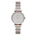 Montre EMPORIO ARMANI pour Femme ar11293